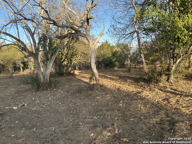 Image 3 of 14 For 11803 Pomeroy