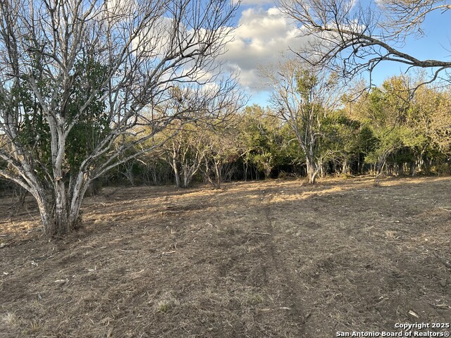 Image 4 of 14 For 11803 Pomeroy