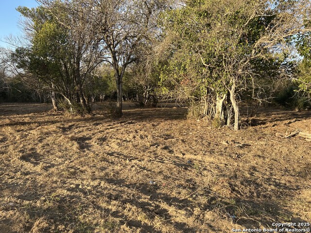 Image 6 of 14 For 11803 Pomeroy