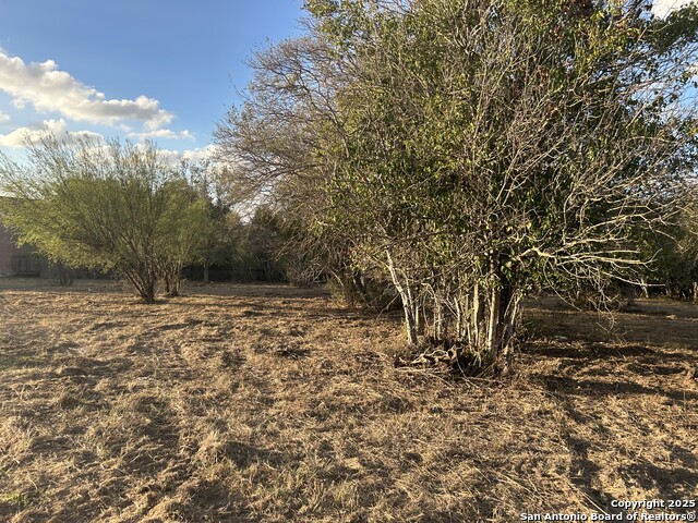 Image 7 of 14 For 11803 Pomeroy