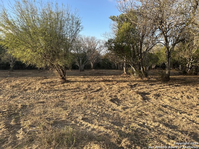 Image 8 of 14 For 11803 Pomeroy