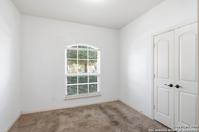 Image 11 of 37 For 404 Cylamen  