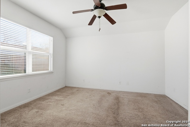 Image 15 of 37 For 404 Cylamen  