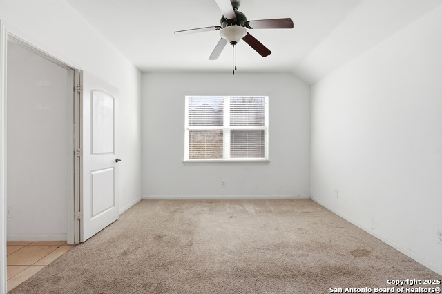 Image 16 of 37 For 404 Cylamen  