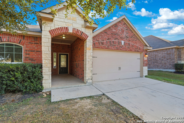 Image 21 of 37 For 404 Cylamen  