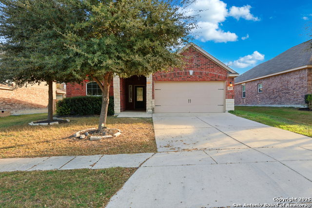 Image 23 of 37 For 404 Cylamen  