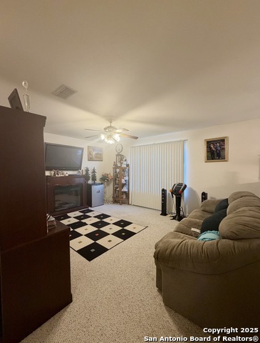 Image 14 of 31 For 10638 Tiger Chase