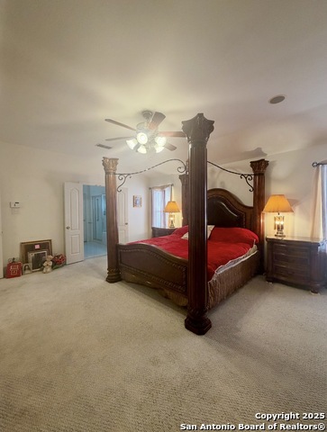 Image 15 of 31 For 10638 Tiger Chase