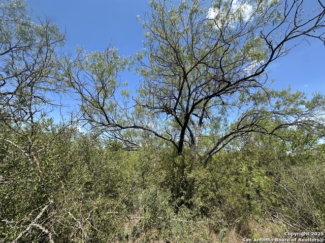 Details for 531 Baltzell, San Antonio, TX 78221