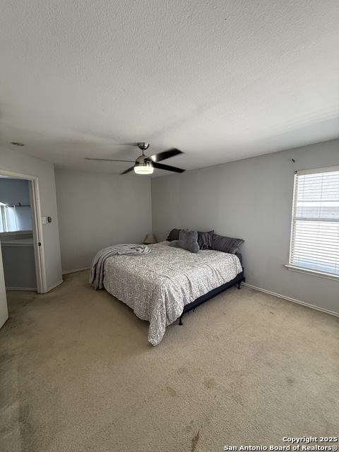 Image 11 of 18 For 10739 Bobcat Rise