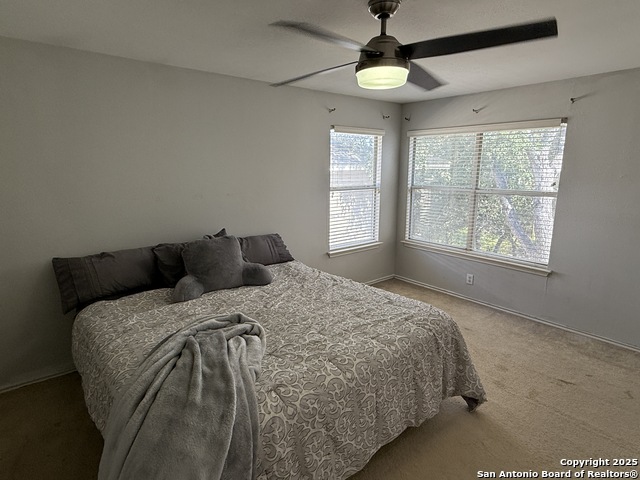 Image 12 of 18 For 10739 Bobcat Rise