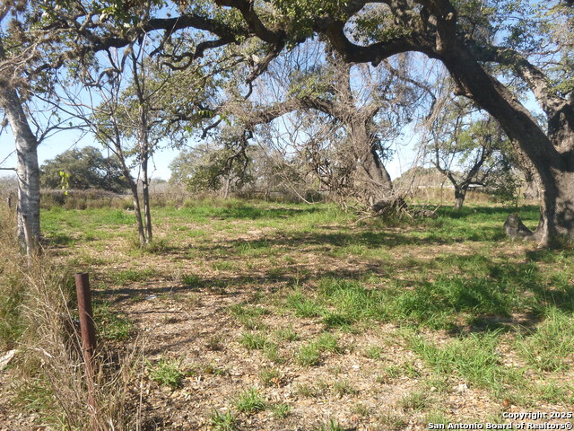 Image 3 of 7 For 1511 1st  