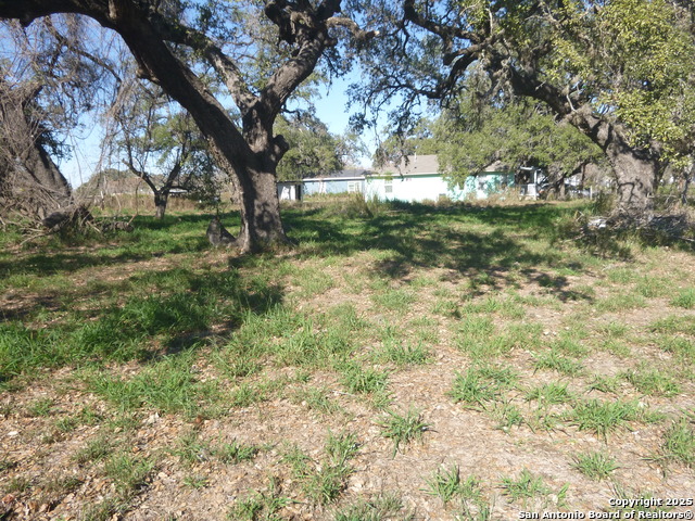 Image 4 of 7 For 1511 1st  