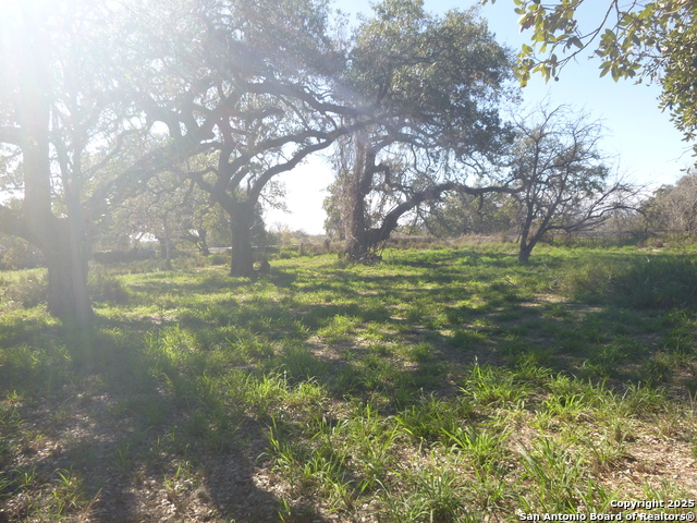 Image 7 of 7 For 1511 1st  