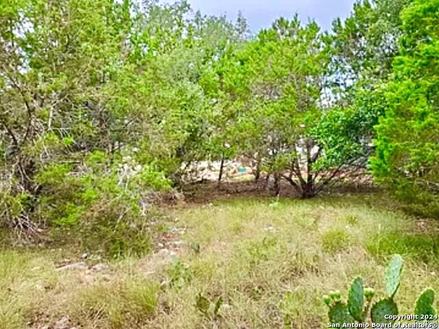 Details for 119 John Bird N, Blanco, TX 78606