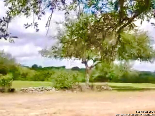 Image 4 of 16 For 119 John Bird N