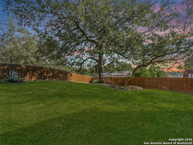 Image 26 of 31 For 242 Impala Trace