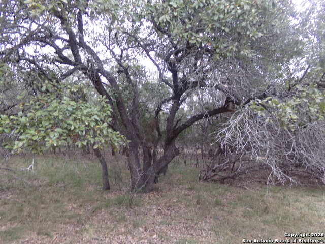 Image 4 of 4 For 885 Mountain Valley Drive