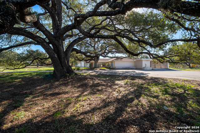 Image 3 of 36 For 609 Rudeloff