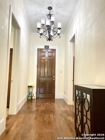 Image 3 of 17 For 1902 Buena Vista