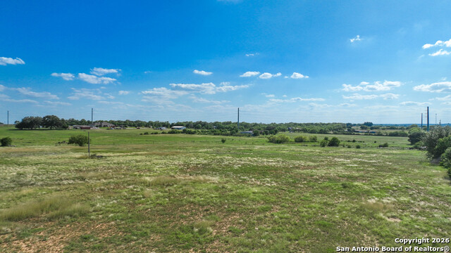 Image 17 of 18 For 12725 Wisdom