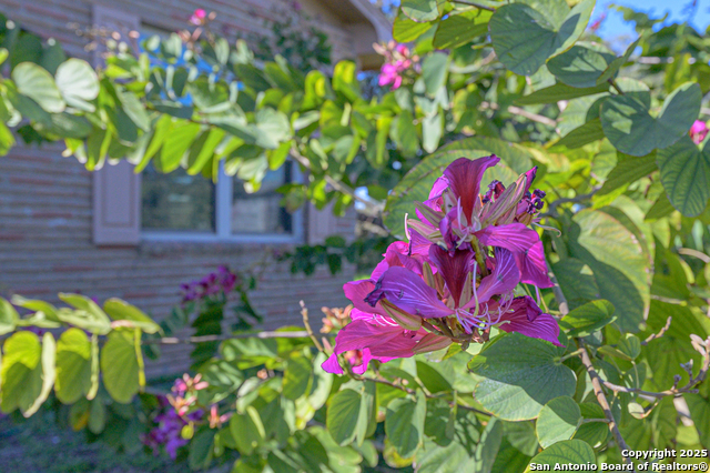 Image 13 of 44 For 1173 Charco Rd