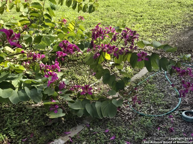 Image 16 of 44 For 1173 Charco Rd