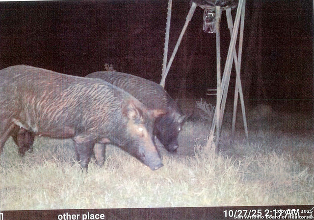 Image 19 of 44 For 1173 Charco Rd