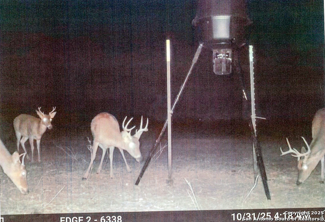 Image 2 of 44 For 1173 Charco Rd