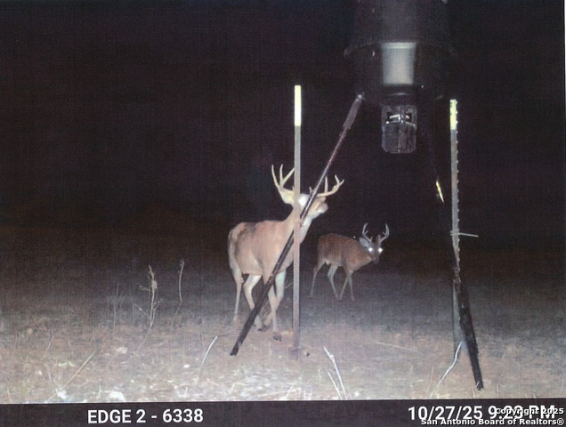 Image 20 of 44 For 1173 Charco Rd