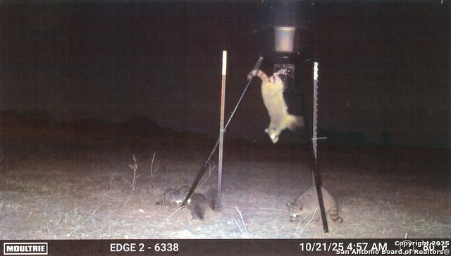 Image 21 of 44 For 1173 Charco Rd