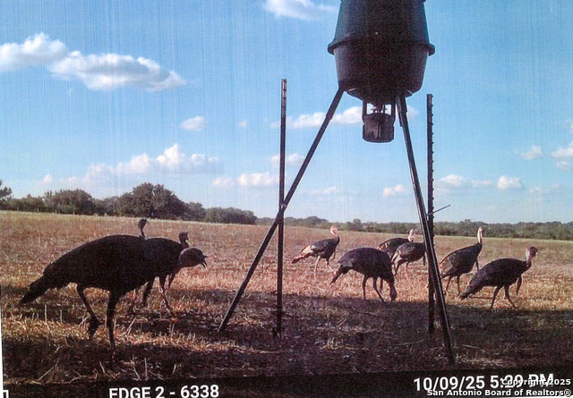 Image 6 of 44 For 1173 Charco Rd