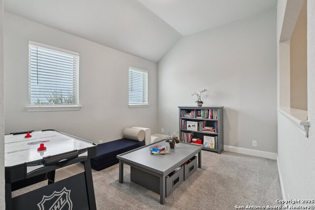 Image 31 of 47 For 32140 Mustang