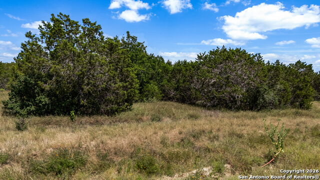 Image 18 of 19 For 1750 Paradise Pkwy