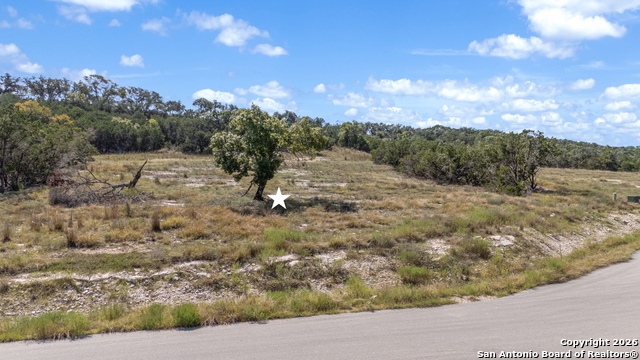 Image 16 of 20 For 910 Blueridge Vw