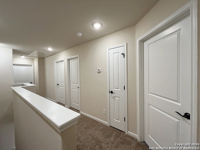 Image 15 of 38 For 13862 Enzo Gate  101