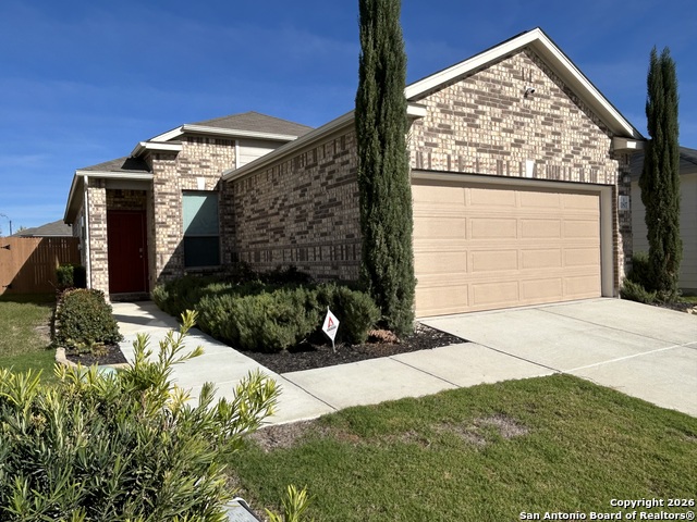 Image 2 of 52 For 11807 Black Rose