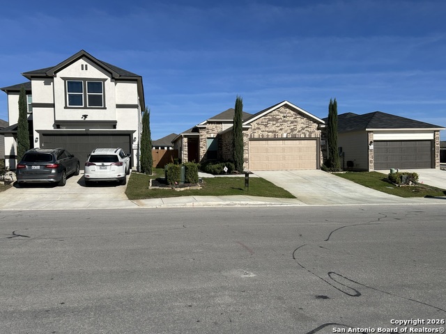 Image 3 of 52 For 11807 Black Rose