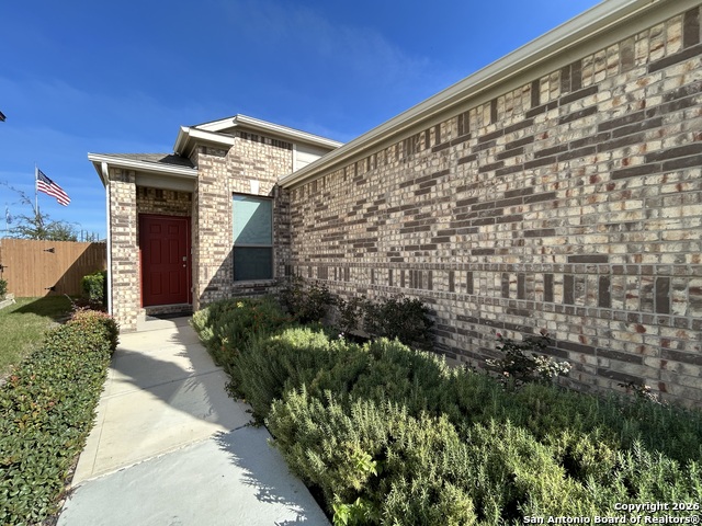 Image 51 of 52 For 11807 Black Rose