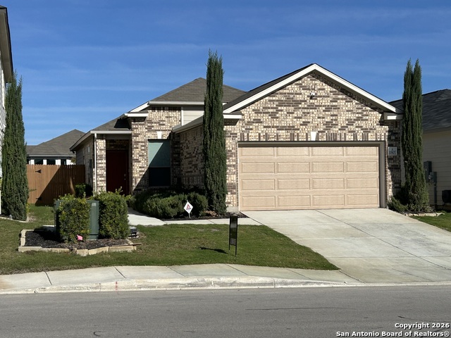 Image 52 of 52 For 11807 Black Rose