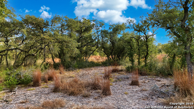 Image 17 of 18 For 776 Roessler Way