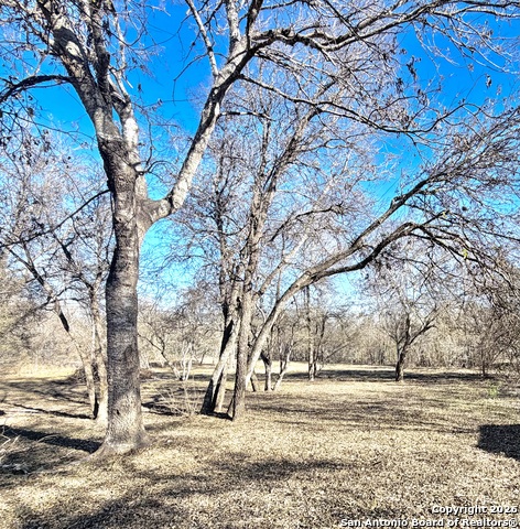 Image 41 of 41 For 15202 Tamaron Vly