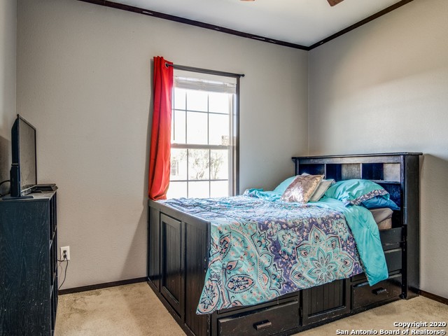 Image 22 of 23 For 252 County Road 302