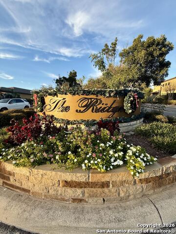 Image 2 of 14 For 1439 Rock Dove
