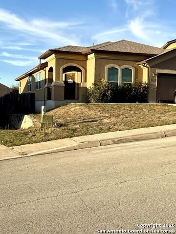 Image 4 of 14 For 1439 Rock Dove