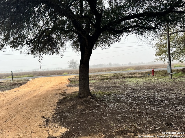 Image 2 of 4 For 13038 Trawalter