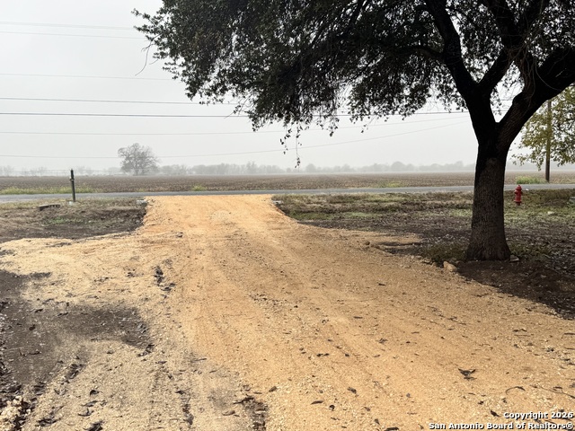 Image 3 of 4 For 13038 Trawalter