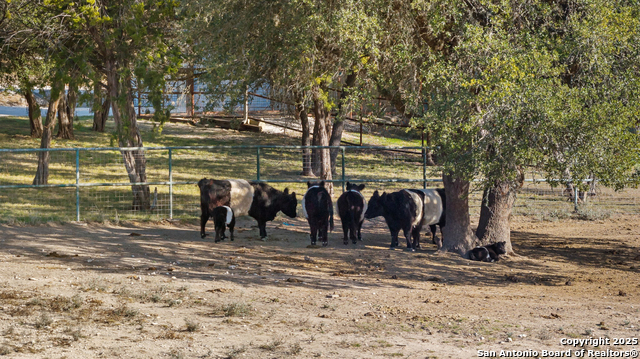 Image 48 of 50 For 115 Spanish Pass