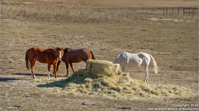 Image 49 of 50 For 115 Spanish Pass