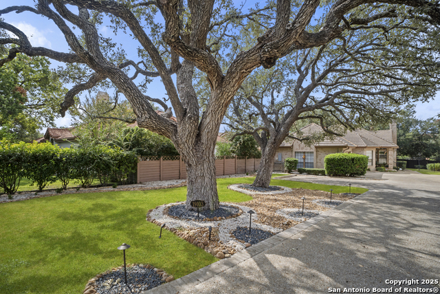 Image 42 of 46 For 19103 Birdsong W